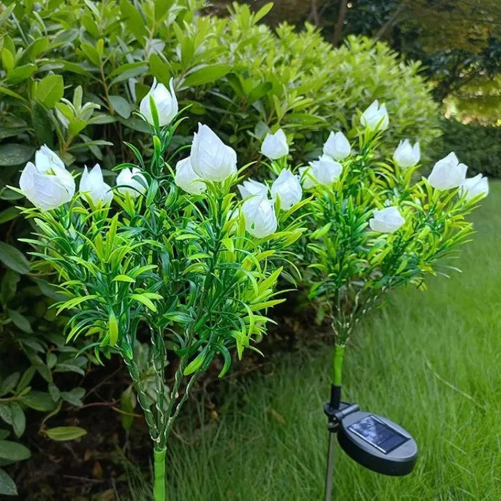 SolarTail - Gardenia-blomma Gardenia-lampa