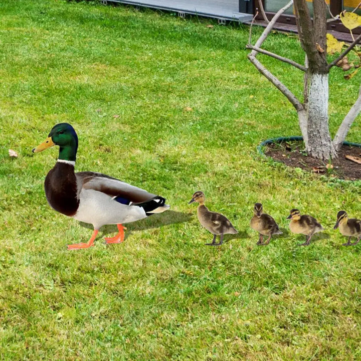 ArtDuck - Charmig Dekor av Anka Påle