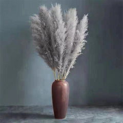 RusticBreeze- Pampas Getrocknete Blumen